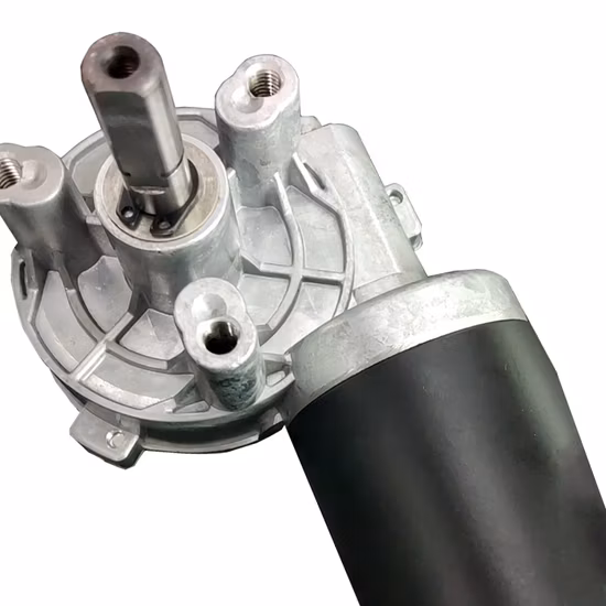 12V DC Motor Customized Worm Gear Reducers and Gearmotors