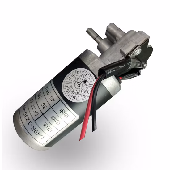 12V DC Motor Customized Worm Gear Reducers and Gearmotors